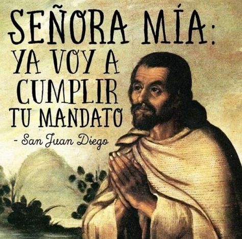 Virgin Guadalupe, Juan Diego, Historical Figures, Movie Posters, Quick Saves, Film Posters