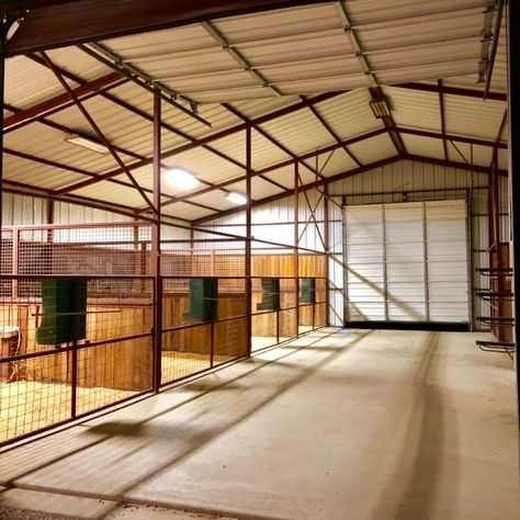 Horse pens horse stalls horse barn Open Horse Stalls, How To Build Horse Stalls, Horse House Ideas, Shop With Horse Stalls, Easy Horse Stalls Diy, Simple Horse Stalls, Horse Grooming Stall, Horse Training Facility, Horse Barn Stalls Ideas