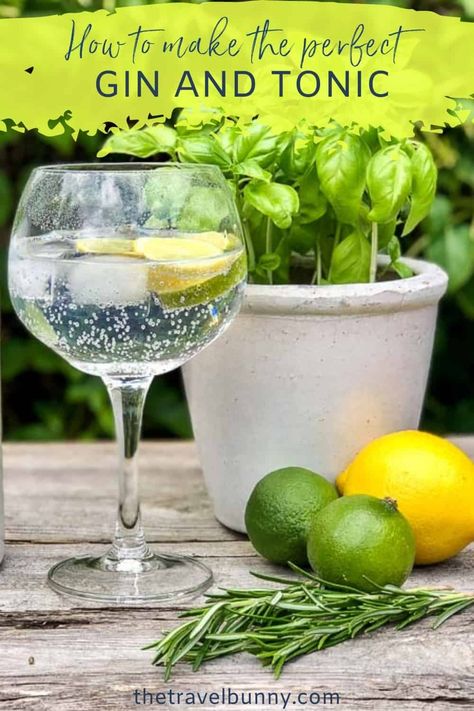 gin and tonic in copa glass with rosemary springs, limes and a lemon Gin And Tonic Recipe, Gin Tonic Recipe, Tonic Recipe, Restaurant Guide, Gin Tonic, Gin Cocktails, Gin And Tonic, Food Tours, Foodie Travel