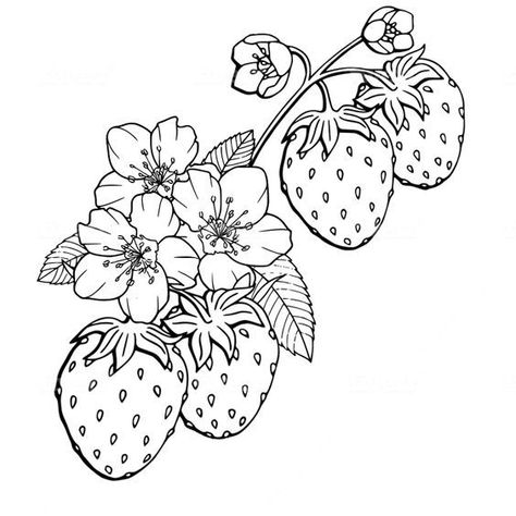 Strawberry Flower Tattoo, Strawberry Outline, Fruit Tattoos, Coloring Hobby, Procreate Stickers, Mom Dad Tattoo Designs, Strawberry Tattoo, Optical Illusion Tattoos, Illusion Tattoos