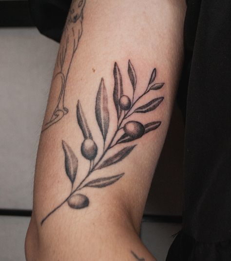 Hand poked custom olive branch for my dear friend Sici! We ended up poking this in two sessions so the bottom less red portion of the tattoo is already a couple months settled and healed :) Thank you for trusting me with this symbolic piece. Forever in solidarity with you 💕 Power and liberation to the people 🕊️🍉 #botanicalillustration #botanicaltattoos #tattooleipzig #tattoohamburg #tattooberlin #tattoocologne #blacktattooartist #handpoke #tattoolover #scientificillustration #tattoonyc #t... Dotwork Flash, Barcelona Tattoo, B Tattoo, Hand Poke, My Dear Friend, Dark Tattoo, Scientific Illustration, Fine Line Tattoos, Line Tattoos