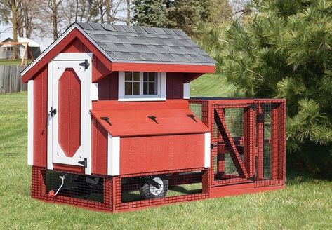 IHS Quaker 4x4 Tractor Coop A Frame Chicken Run, Chicken Coop Wheels, Movable Chicken Coop, Chicken Enclosure, Chicken Coop Kit, Chicken Coop Blueprints, Chicken Fence, Mobile Chicken Coop, Metal Roof Colors