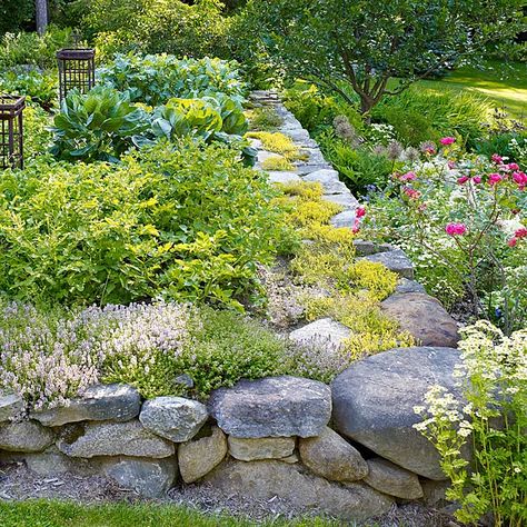 Bean Garden, Stone Walls Garden, Rose Garden Design, Garden Line, Minimalist Garden, Wall Garden, Garden Tours, Gorgeous Gardens, Garden Layout