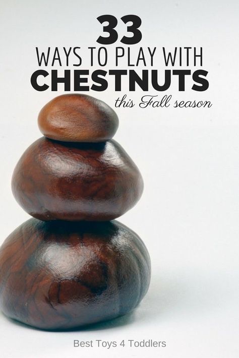 33 Ways to Play with Chestnuts this Fall season- arts, crafts and learning activities with chestnuts Chestnut Crafts, Conkers Craft, Buckeye Crafts, Taking Walks, Easy Activities, Autumn Crafts, Reggio Emilia, Nature Crafts, Autumn Activities