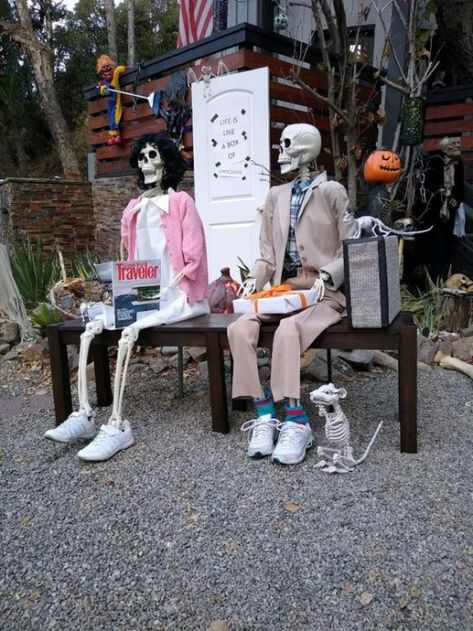 Funny Skeleton Poses Halloween, Halloween Skeletons Yard Funny, Skelton Ideas, Funny Skeleton Poses, Skelly Ideas, Skeleton Posing, Skeleton Scenes, Skeleton Decorations Outdoor, Skeleton Display