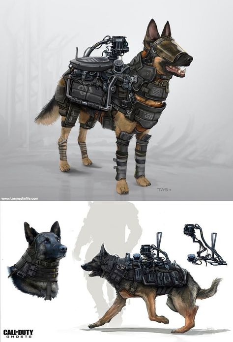 Dog Armor, Military Dogs, Call Of Duty Ghosts, Dog Gear, Armor Concept, 판타지 아트, Military Art, 2d Art, Working Dogs