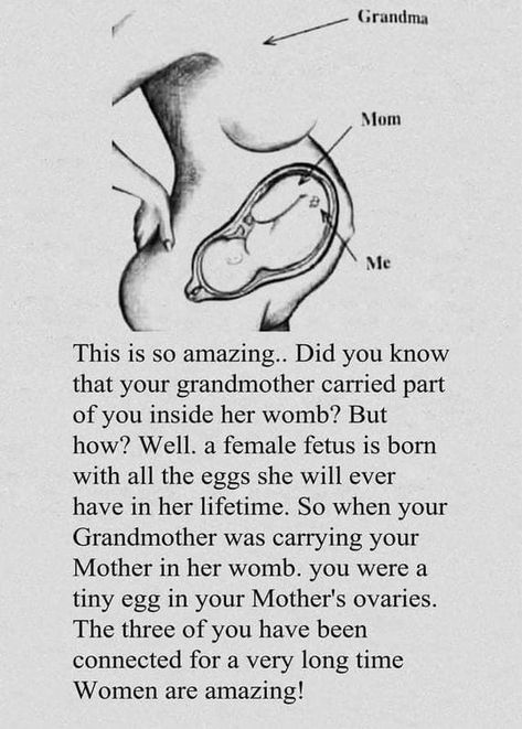 Womb Quotes, Mom Life Quotes, Pregnancy Quotes, Baby Advice, Quotes About Motherhood, Mom Stuff, Cool Ideas, Thoughts Quotes, The Words