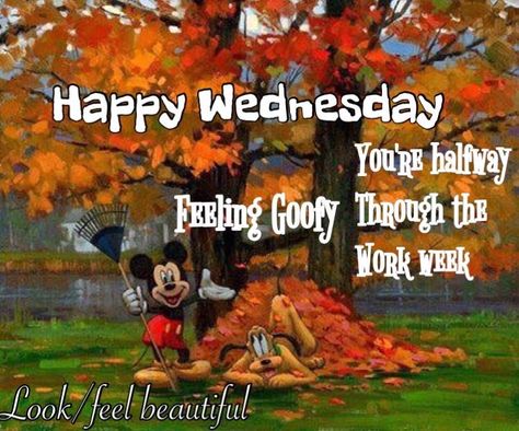 It's wacky Wednesday...enjoy your day! Day Before Thanksgiving, Wacky Wednesday, Enjoy Your Day, Try Harder, Happy Wednesday, Positive Thoughts, How To Feel Beautiful, Life Changes, Dream Catcher