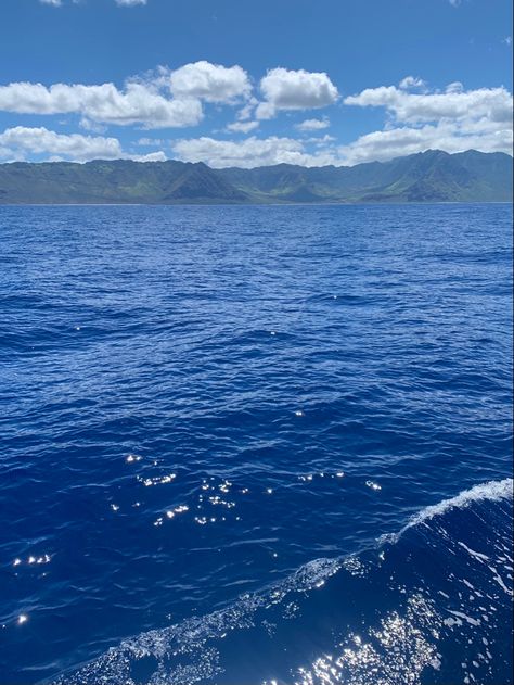 pacific ocean 💙💙💙 Ocean Acadamia, Pacific Ocean Aesthetic, Ocean Conservation Aesthetic, Pacific Ocean And Atlantic Ocean, Perseus Jackson, The Pacific Ocean, Ocean Life, Pacific Ocean, Moana