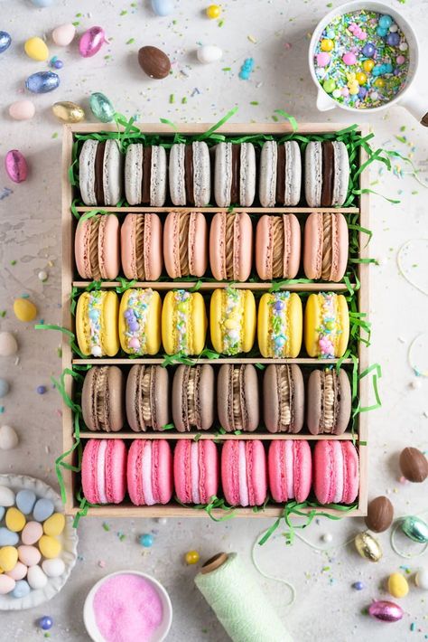 The Ultimate Easter Macaron Box Cloudy Kitchen, Kue Macaroon, Macaron Filling, Macaron Boxes, Macaron Flavors, Macaroon Recipes, Easter Baking, Cheesecake Cupcakes, Creme Egg