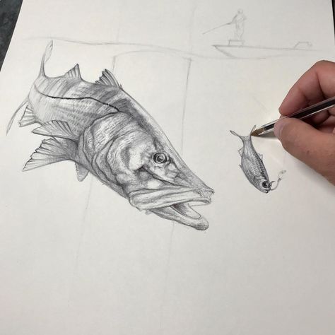 Snook Drawing, Snook Tattoo, Drawn Fish, Fishing Art, Artwork Ideas, Want To Draw, Ink Drawings, Fish Art, Ocean Art