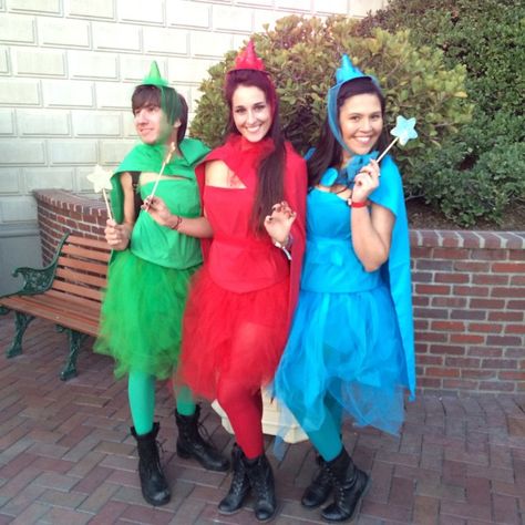 43 Disney Costumes You and Your Group Can DIY Flora, Fauna, and Merryweather Trio Princess Costumes, Three People Disney Costumes, Disney Movie Group Costumes, Disney Group Of 4 Costumes, Disneybound Outfits Trio, Disney Group Costumes, 4 People Halloween Costumes, Book Characters Dress Up, Duo Dress