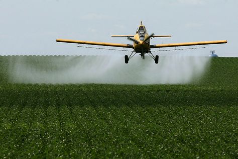 Crop Dusters Rural Cybercore, Crop Duster Airplane, Airplane Quotes, Crop Duster, Let Your Dreams Take Flight, Airplane Painting, Airplane Wallpaper, Types Of Vehicles, Rural America