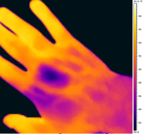 Thermal picture of my hand after coming indoors in winter. The warm veins are clearly visible. Thermal Hand, Heat Signature, Heat Vision, Nuclear Explosion, Master Degree, Thermal Heat, Heat Map, Thermal Energy, Thermal Imaging