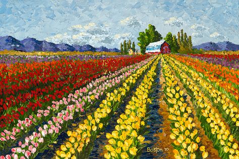 "Tulip Field" 36"x24" original oil painting on canvas by Eric Boston. This is originally of a Skagit Valley tulip field with a farm or barn in the distance. The bright yellow and red tulips remind me of some of the fields near LaConner, Washington. See more at http://www.ericwboston.com Tulip Field Painting, Acrylic Painting Images, Everyday Painting, Amanda Clarke, Festival Paint, Floral Paintings Acrylic, Field Paint, Tulip Field, Farm Paintings