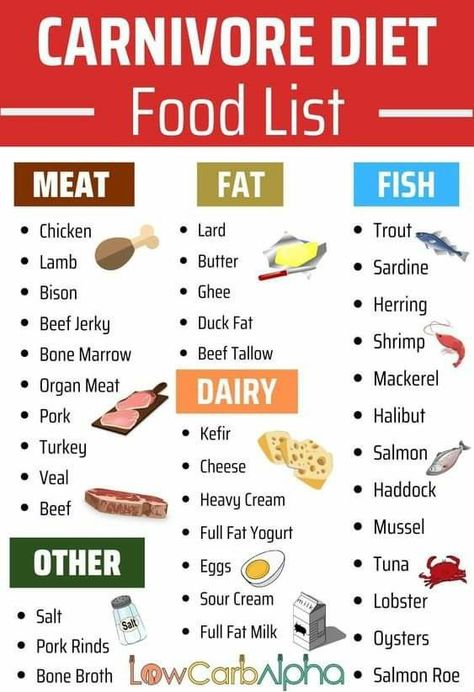 Carnivore Lifestyle, Caveman Diet Recipes, Carnivore Keto, High Protein Low Carb Diet, Low Carb Food, Low Carb Food List, Caveman Diet, Low Carb High Protein, Meat Diet