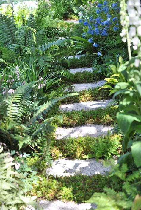 Cornwall Garden, Seaside Garden, Chelsea Garden, Seaside House, Garden Steps, Woodland Garden, Memorial Garden, Chelsea Flower, City Garden