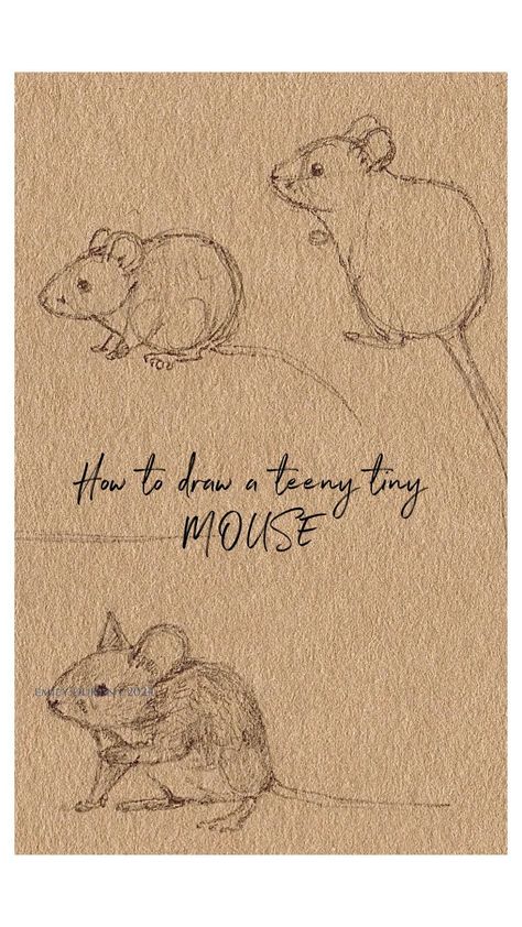 Emily Duffin Country Illustration | How to draw a teeny tiny MOUSE! 🐭 As promised here is a teeny tutorial! I’d love to see your little mousey sketches if you choose to give... | Instagram Mice Drawing Simple, How To Draw A Mouse Step By Step, Tan Paper Drawing, Mouse Pencil Drawing, Mice Illustration Drawings, Field Mouse Drawing, Country Illustration, Mouse Sketch, Paintings Easy