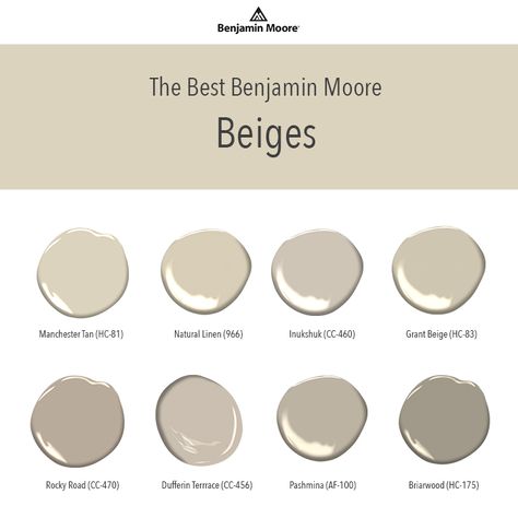 Benjamin Moore Beige Colors, Benjamin Moore Beige, Roman Clay, Grant Beige, Taupe Paint, Greige Paint Colors, Greige Paint, Paint Store, Beige Paint