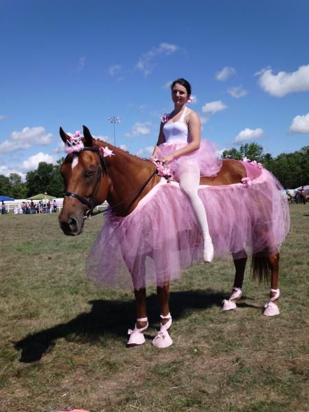 ballerina horse and rider costume Horse Halloween Ideas, Horse Fancy Dress, Halloween Costumes Cowgirl, Cowgirl Halloween Costumes, Painting Tattoos, Horse Halloween Costumes, Horse Halloween, Horse Costume, Barbie Halloween Costume