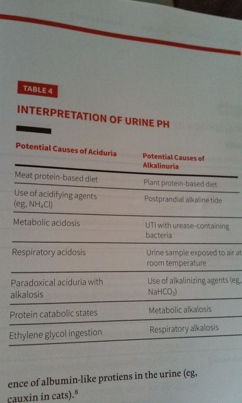 Urinalysis Interpretation, Respiratory Acidosis, Metabolic Acidosis, Vet Med, Veterinary Medicine, Plant Protein, Vet Tech, Physical Therapist, Knowledge Is Power