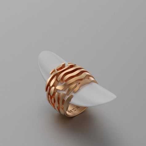 Parametric jewelry