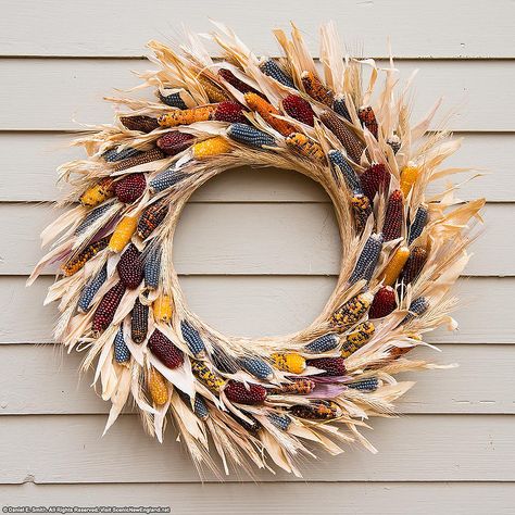 Indian Corn Wreath | by Scenic New England Decorating With Indian Corn, Dried Corn Decor, Ornamental Corn Decorations, Cornhusk Wreath, Corn Decorations, Urban Rugs, Indian Corn Wreath, Corn Decor, Tableware Ideas