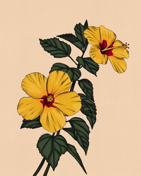 Mayan Llanera Illustrations on Instagram: “"PUA ALOALO" Hawaii designated yellow hibiscus (Hibiscus brackenridgei), also known as Pua Aloalo or Ma`o-hau-hele, as the official state…” Hibiscus Flower Drawing, Beach Art Painting, Art Deco Paintings, Hawaiian Designs, Yellow Hibiscus, Hawaiian Art, Nature Art Painting, Mini Drawings, Hawaiian Islands