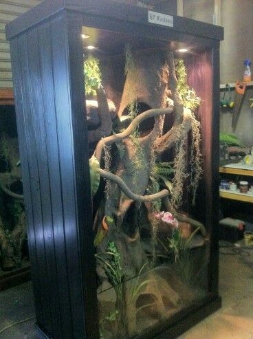 Diy Reptile Enclosure, Chameleon Enclosure, Chameleon Cage, Terrariums Diy, Snake Cages, Diy Reptile, Snake Terrarium, Snake Enclosure, Gecko Terrarium