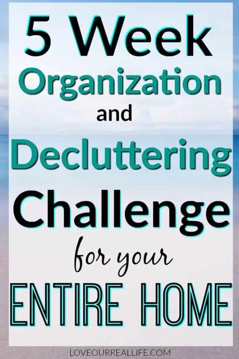 Five Week Organizing Challenge for Your Entire Home! ⋆ Love Our Real Life Home Organization Declutter, Decluttering Challenge, Organizing Challenges, Cleaning Painted Walls, Home Organizing, Glass Cooktop, Deep Cleaning Tips, Declutter Your Home, Home Organization Hacks