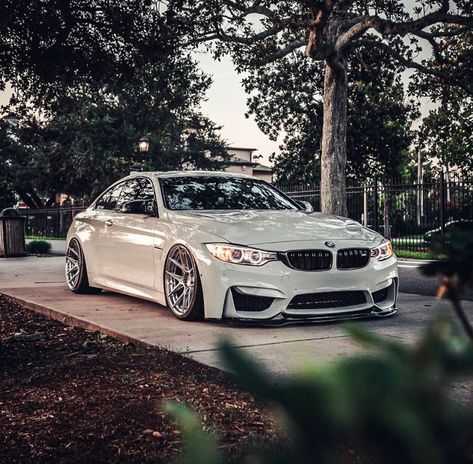 Bmw M3 Sedan, M4 Gts, Bmw 428i, Car Builds, M4 F82, M3 Sedan, Bavarian Motor Works, Dream Cars Bmw, Sedan Cars