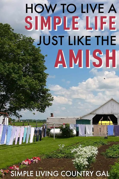 A guide on How to live Amish without being Amish so you can bring more intention into your life and remove daily stress and chaos. How to live a life of simplicity in your home, with your schedule, and in your daily routines. Tips on how to make it easier to clean, declutter, and find room to spend time with family and friends every day that does not include technology. Amish Living, Amish Life, Amish Dewormer, Amish Communities To Visit, How To Live Like The Amish, Amish Ways Of Living, Autoimmune Diet Recipes, Living Simple Life, Autoimmune Diet