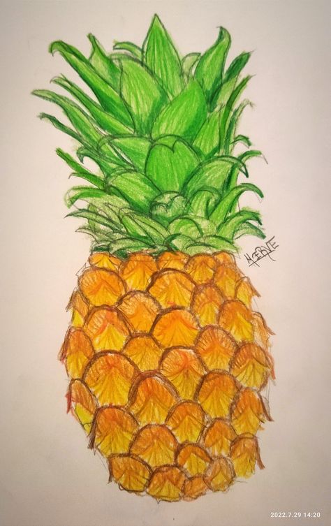 Pineapple Color Pencil Drawing, Pinapple Drawings Pencil, Crayon Projects, Food Sketchbook, Draw A Pineapple, Drawing Pineapple, Pineapple Drawing, Pineapple Painting, Food Drawings