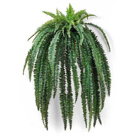 Artificial Giant Boston Silk Fern  - Hanging or Wall Artificial Vertical Garden, Cheap Artificial Plants, Artificial Plant Arrangements, Garden Privacy Screen, Artificial Green Wall, Wall Cover, Plant Window, Artificial Plants Indoor, Grass Background