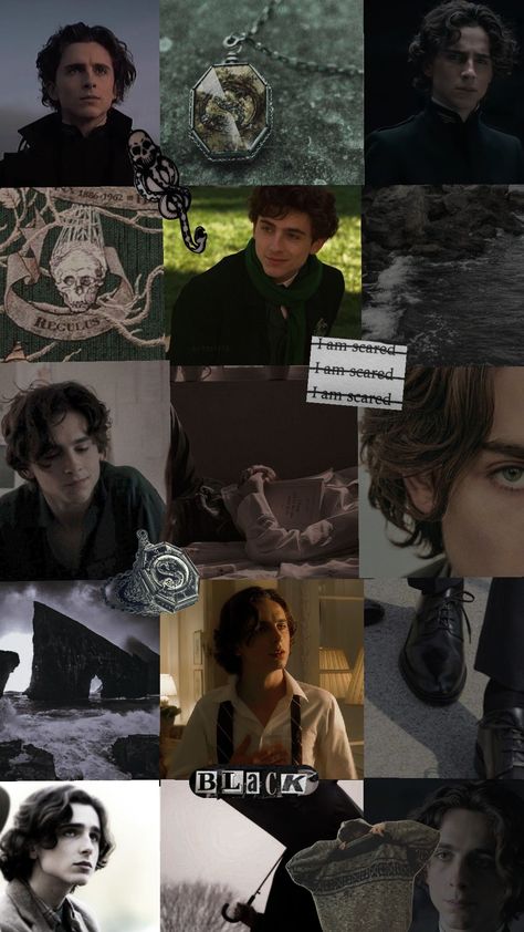 #regulusblack #Black #marauders Regulus Black♡ Marauders Regulus Black, Marauders Regulus, Regulus Black Fanart, Black Fanart, Slytherin Wallpaper, Slytherin Boys, Black Bullet, Regulus Black, Timothee Chalamet