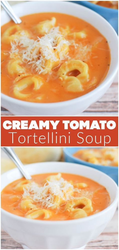 Soup With Cheese Tortellini, Tortellini Tomato Soup, Tortellini Soup Crockpot, Creamy Tomato Tortellini Soup, Creamy Tomato Tortellini, Soup With Cheese, Cheese Tortellini Soup, Tomato Tortellini, Creamy Tortellini Soup