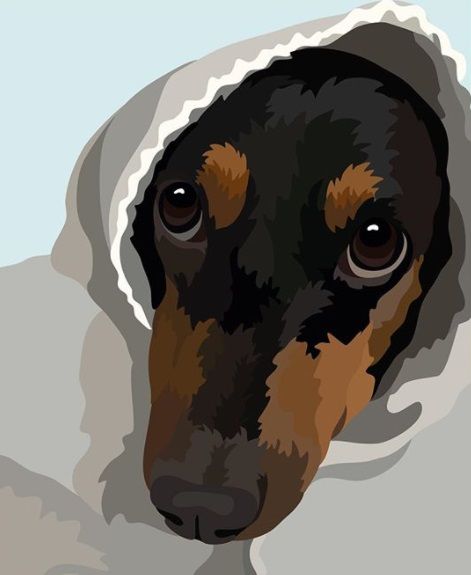 Sausage Dog Painting, Painting Clipart, Dogs Watercolor, Watercolor Dogs, Dachshund Illustration, Dog Watercolor Painting, 2024 Board, Watercolor Dog Portrait, Stencil Maker