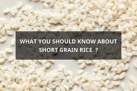 All you need to know about short grain rice Short Grain Rice, Short Grain Brown Rice Recipes, How To Cook Long Grain Rice, Korean Multigrain Rice, Vietnamese Rice, Long Grain Rice, Agriculture, Rice