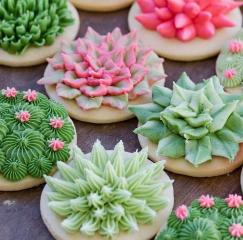 Bridal shower succulents Bridal Shower Themes, Beautiful Baking, Succulent Cupcakes, Succulent Theme, Succulent Cake, Jenny Cookies, Cactus Cake, Cookie Making, Themes Wedding