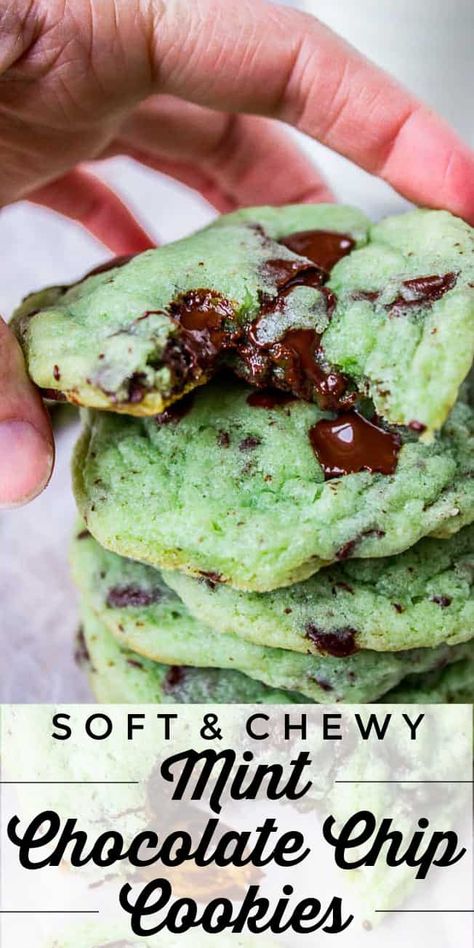 Mint Chocolate Chip Cookie Recipe, Mint Chocolate Chip Cookies, The Food Charlatan, Skillet Chocolate Chip Cookie, Ultimate Cookies, Food Charlatan, Mint Recipes, Mint Chocolate Chip, Mint Cookies