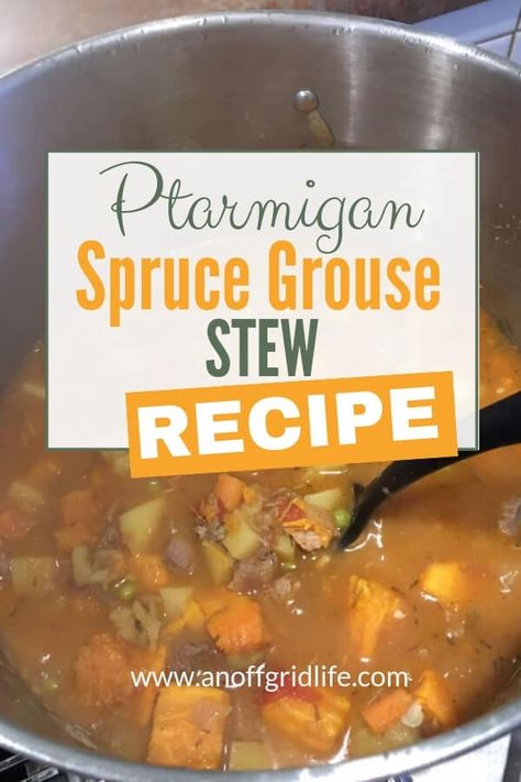 Partridge Recipes Slow Cooker, Partridge Recipes, Grouse Recipe, Partridge Recipe, Grouse Recipes, Spruce Grouse, Quail Recipes, Wild Recipes, Log Cabin Living