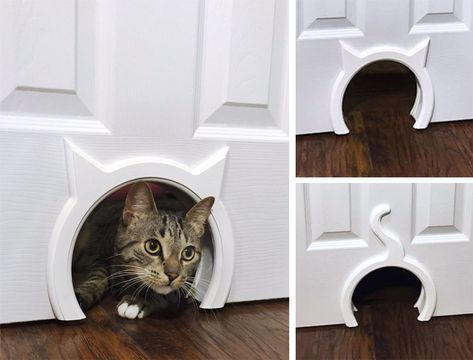 Diy Interior Cat Door, Cat Door Diy, Interior Cat Door, Inside Cat, Katt Grejer, Cat Bedroom, Colorful Hairstyles, Pet Door, Cat Shelves