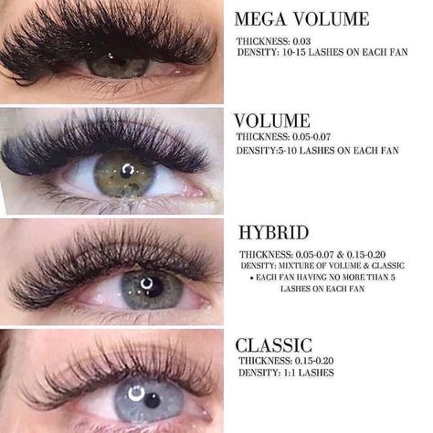 Types Of Eyelashes, Types Of Eyelash Extensions, Eyelash Extensions Care, Eyelash Tips, Eyelash Technician, Eyelash Extensions Styles, Lash Extensions Styles, Volume Lash Extensions, Perfect Eyelashes