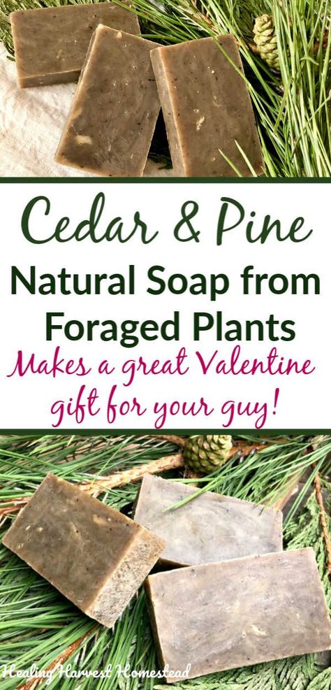 Here is a wonderfully woodsy scented moisturizing soap for your man. He will LOVE it! You'll love it too. This is a hot process soap recipe that can be converted to cold process. Pine and cedar are perfect for a manly soap. #soap #handmade #homemade #howtomake #natural #hotprocess #soaprecipe #healingharvesthomestead Homemade Soap Recipe, Men Soap, Natural Soaps Recipes, Hot Process Soap, Easy Soap Recipes, Diy Soap Recipe, Herbal Soap, Handmade Soap Recipes, Diy Tumblr