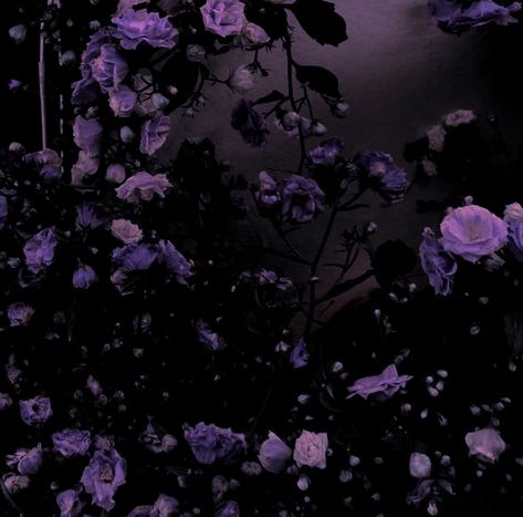 Dark Purple Roses Aesthetic, Purple Violet Aesthetic, Dark Purple Aethstetic, Delia Core Aestethic, Colorful Dark Aesthetic, Fischl Aesthetic Core, Montana Grape Aesthetic, Gothic Aesthetic Purple, Dark Purple Royalty Aesthetic