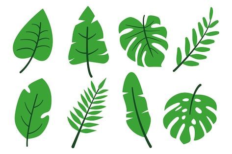 Hojas tropicales conjunto verde abstract... | Premium Vector #Freepik #vector #palma #exotico #plantas-tropicales #hoja-platano Premium Vector