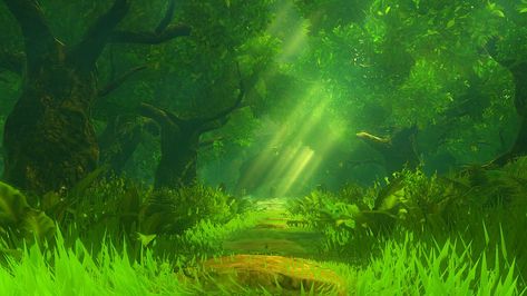 Korok forest Korok Forest, Forest Cafe, Forest Games, Forest Drawing, Zelda Breath Of The Wild, Forest Background, Wild Forest, Landscape Landscape, Landscape Background