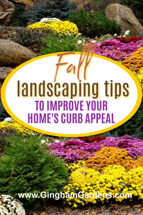 Fall Landscaping Ideas Front Yards, Fall Landscape Front Yard Garden Ideas, Fall Front Flower Bed Ideas, Fall Flowers Front Yard, Fall Outdoor Landscaping, Fall Flower Beds In Front Of House Decor, Front Yard Fall Landscaping, Fall Curb Appeal Front Yards, Fall Front Garden Ideas