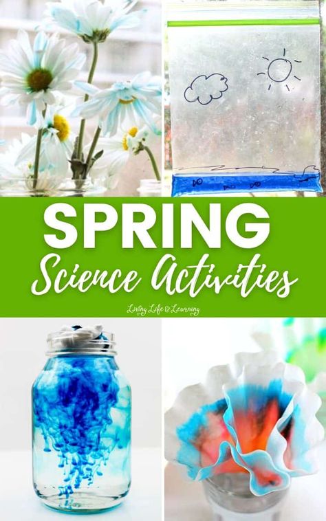 Spring Science Activities Spring Stem Activities, Spring Science Activities, Spring Stem, Spring Science, Life Learning, Kids Imagination, Science Worksheets, Stem Activities, Science Activities