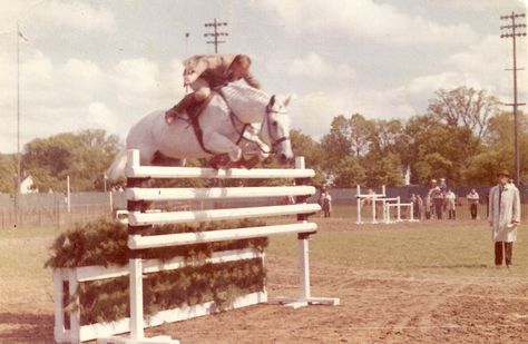 Harry de Leyer and Snowman: A Cinderella Story Becomes a Film - Sidelines Magazine Horse Jumping Reference, Snowman Horse, Olympic Show Jumping, Horse Auction, Horse Heartbeat, Island Horse, Horse Star, Jumping Horse, Show Jumping Horses